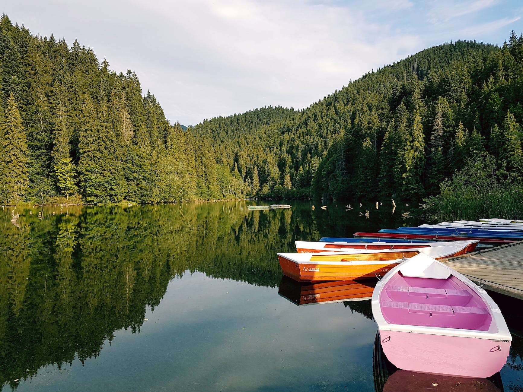 boats on calm body of water surrounded by trees