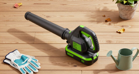10 Best Handheld Battery Leaf Blowers for Patios and Decks in 2026