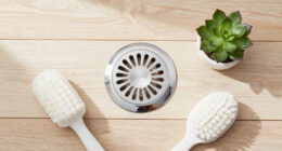 10 Best Shower Drain Hair Catchers in 2026