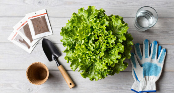 11 Best Fall Lettuce Growing Supplies in 2026