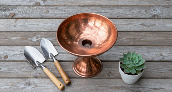 12 Best Copper Bird Baths in 2026