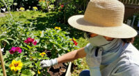 12 Best Gardening Sun Protection Gear in 2026