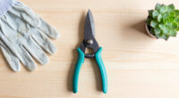 12 Best Pruning Shears in 2026