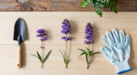 12 Best Purple Flowering Plants in 2026