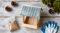 13 Best Bird Feeders in 2026