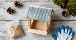 13 Best Bird Feeders in 2026