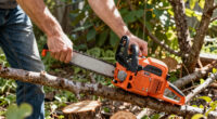 13 Best Cordless Electric Chainsaws in 2026