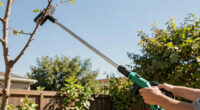 13 Best Gas-Powered Pole Saws for Property in 2026