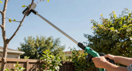 13 Best Gas-Powered Pole Saws for Property in 2026