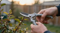 13 Best Micro-Tip Pruning Snips in 2026