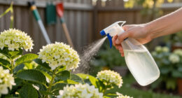 14 Best Hydrangea Care Products in 2026