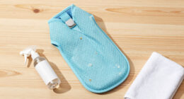 15 Best Dog Cooling Vests in 2026