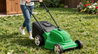 15 Best Lawn Mowers in 2026