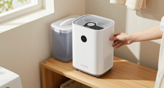 15 Best Mini Dehumidifiers in 2026