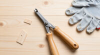 15 Best Nail Puller Tools in 2026
