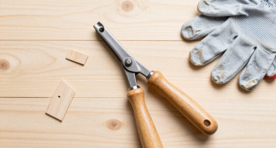 15 Best Nail Puller Tools in 2026