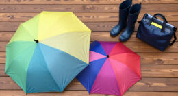 15 Best Umbrellas for Monsoon in 2026