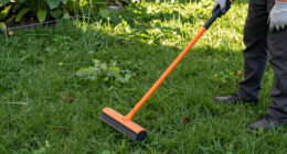6 Best Weed Wiper Tools in 2026