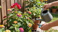 7 Best Heat Tolerant Flowering Shrubs in 2026