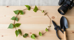 8 Best Native Flowering Vines for Pollinator-Friendly Gardens in 2026