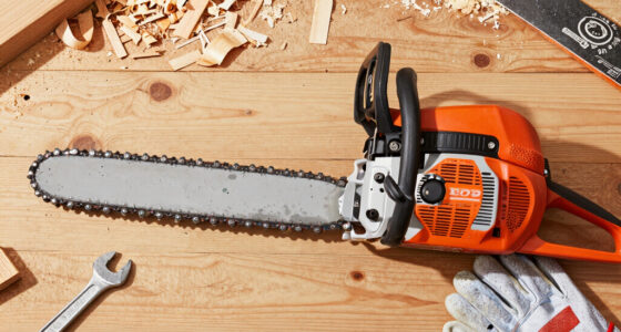 Chainsaw Bar and Chain Oil: What It Does and What to Use