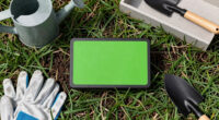 Most Gardeners Have Never Heard Of This Lawn Product That Helps Grass Survive Extreme Heat
