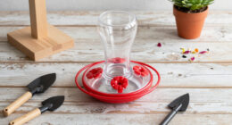 14 Best Hummingbird Feeders in 2026