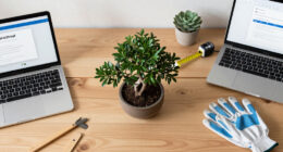Bonsai: Janestreet's UI Library