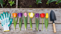 10 Best Spring Flowering Bulbs in 2026