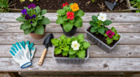 11 Best Clearance Garden Plants in 2026