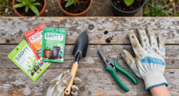 11 Best Community Gardening Supplies in 2026