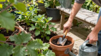 11 Best Garden Plants in 2026