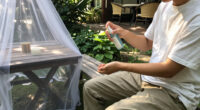 12 Best Dengue Prevention Products in 2026