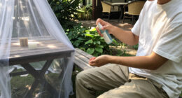 12 Best Dengue Prevention Products in 2026