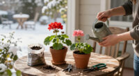 12 Best Geranium Winter Care Supplies in 2026