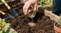 13 Best Flower Seeds in 2026