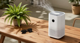 15 Best Air Purifiers For Haze In 2026