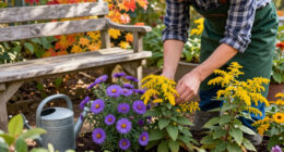 15 Best Fall Pollinator Plants in 2026