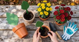 7 Best Fall Container Garden Supplies in 2026