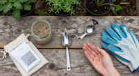 7 Best Seed Saving Tools in 2026