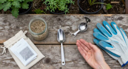 7 Best Seed Saving Tools in 2026