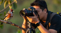 Diverse And Dramatic Behaviors Top The 2026 Bird Photographer Of The Year Contest