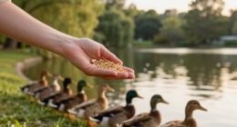 Survival Essentials: Understanding What Ducks Eat To Succeed In The Wild