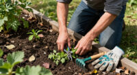 13 Best Compact Garden Cleanup Tools for 2027