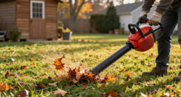 13 Best Fall Lawn Care Tools for a Cleaner, Healthier Yard in 2027