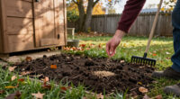 13 Best Grass Seed for Fall in 2027
