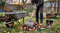 14 Best Garden Cleanup Tools for a Tidier Yard in 2027