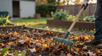 15 Best Ergonomic Garden Rakes for Easier Yard Work in 2027