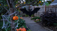 15 Best Spooky Garden Decorations for a Halloween Yard in 2027