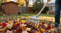 Don’t Throw Out Your Raked Leaves—Here Are 7 Smart Things To Do With Them Instead